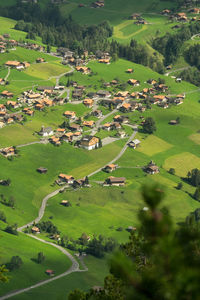 High angle view of trees on landscape