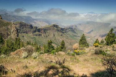 Panoramic view of landscape against sky