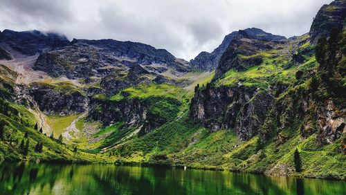 nature