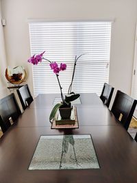 Potted plant on table at home