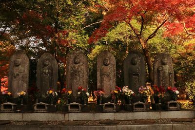 View of buddha statue in cemetery