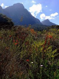 Scenic view of sea and mountains against sky