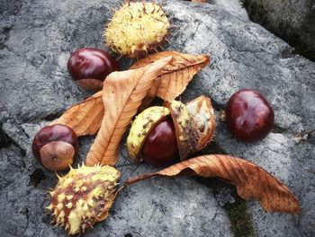 High angle view of fruits and leaves on table