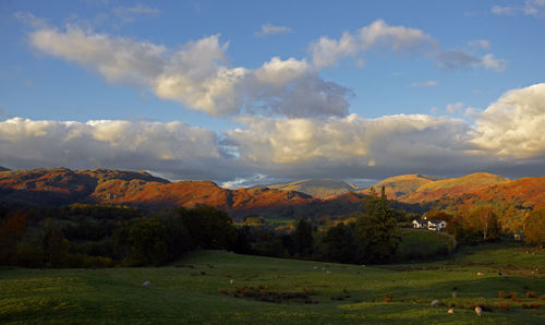 Scenic landscape in the british lake district