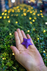 Close-up of hand holding purple flower