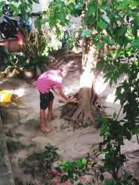 Rear view of woman standing by plants