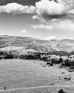 Black and white photo landscape at torres del paine 