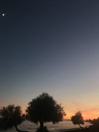 Silhouette trees on field against sky at sunset