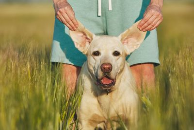 Midsection of woman with dog standing on grassy field