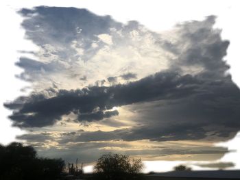 Low angle view of silhouette trees against sky