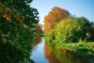 Scenic view of river amidst trees during autumn