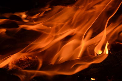 Close-up of bonfire