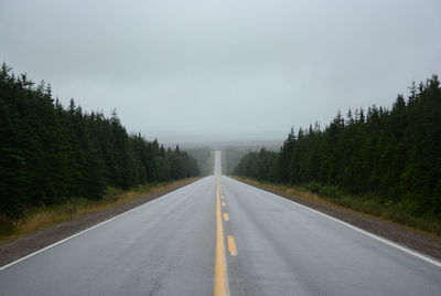 Country road along trees