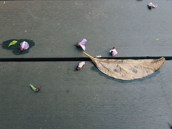 High angle view of people on street