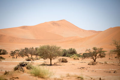 Scenic view of desert against clear sky