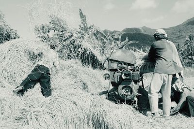 People harvesting crops on field during sunny day