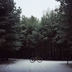 Bicycle parked on snow covered field against trees in forest