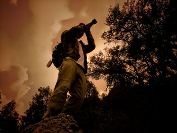 Low angle view of silhouette man against tree