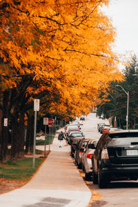 Cars on street in city during autumn