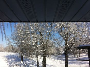 Bare trees on snow covered landscape