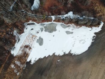 High angle view of frozen trees on land