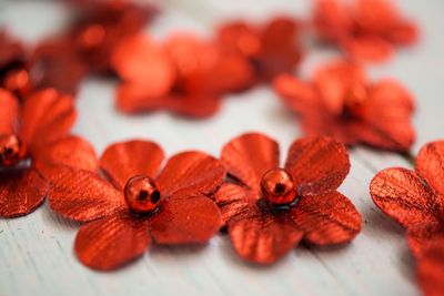 Close-up of red flowers on table