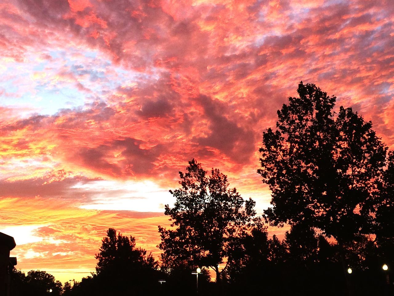 SILHOUETTE TREES AGAINST DRAMATIC SKY DURING SUNSET