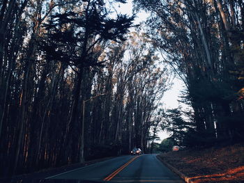 Empty road along trees in forest