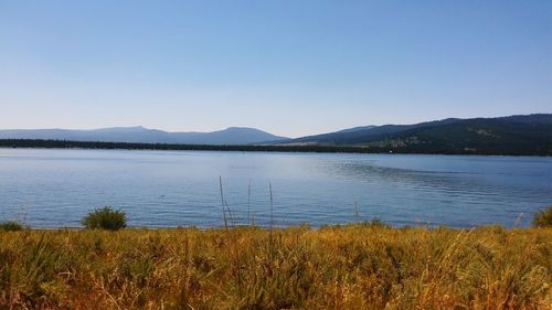 Scenic view of calm lake against clear sky