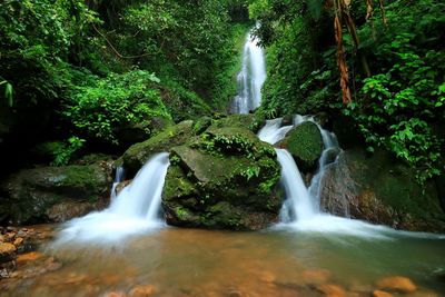 View of waterfall in forest