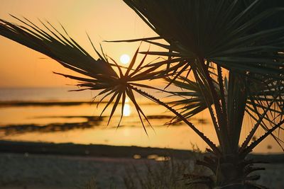 Close-up of silhouette plants by sea against sky during sunset