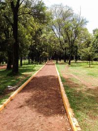 Footpath amidst trees in park