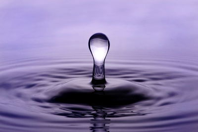 Close-up of water drop