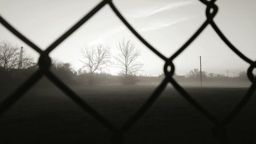 Chainlink fence at sunset