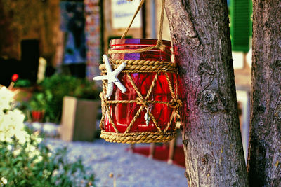 Close-up of decoration hanging on tree trunk