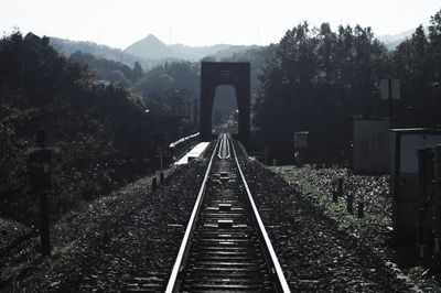 Railroad tracks amidst trees against sky