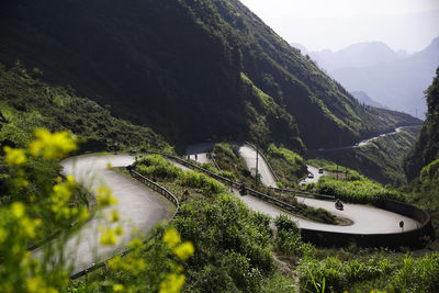 Iconic ha giang zig zag road with flowers field on the side