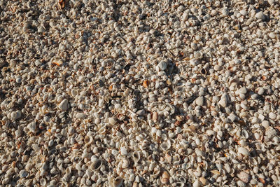 Full frame shot of pebbles on beach