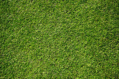 Full frame shot of soccer field