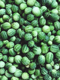 Full frame shot of small watermelon for sale at market