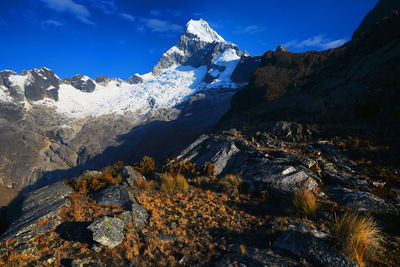 Dry grass on rocks by snowcapped mountain peak against sky