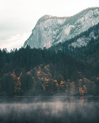 Trees by lake in forest against sky