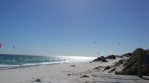 Birds flying over beach against blue sky