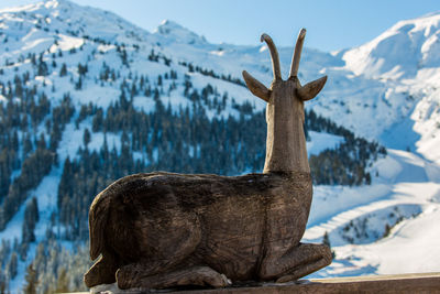 View of deer on snow covered mountain