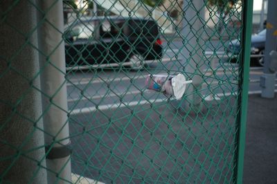 Bird in cage seen through chainlink fence