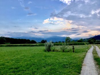 Scenic view of farm against sky