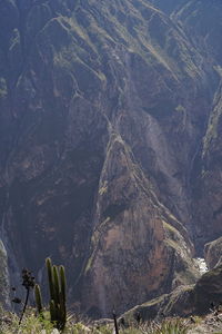 Scenic view of mountain