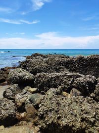 Rocks on beach against sky