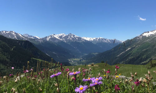 Scenic view of moutain