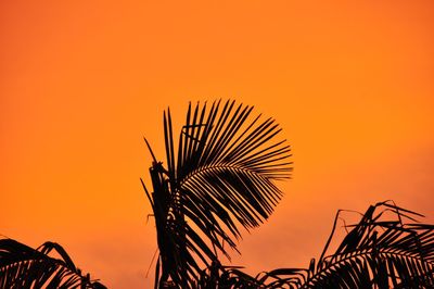 Low angle view of silhouette trees against sky at sunset